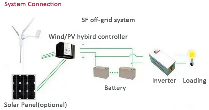 800W Wind Turbine Solar and Wind Power Systems for Home 48V Electric Wind Turbine Generator Turbines for Sale