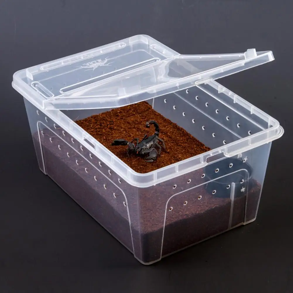 Small Pet Reptiles Living Box Reptile Terrarium Habitat Scorpion Spider Ants Lizard Breeding Case Hatching Container Rearing Box