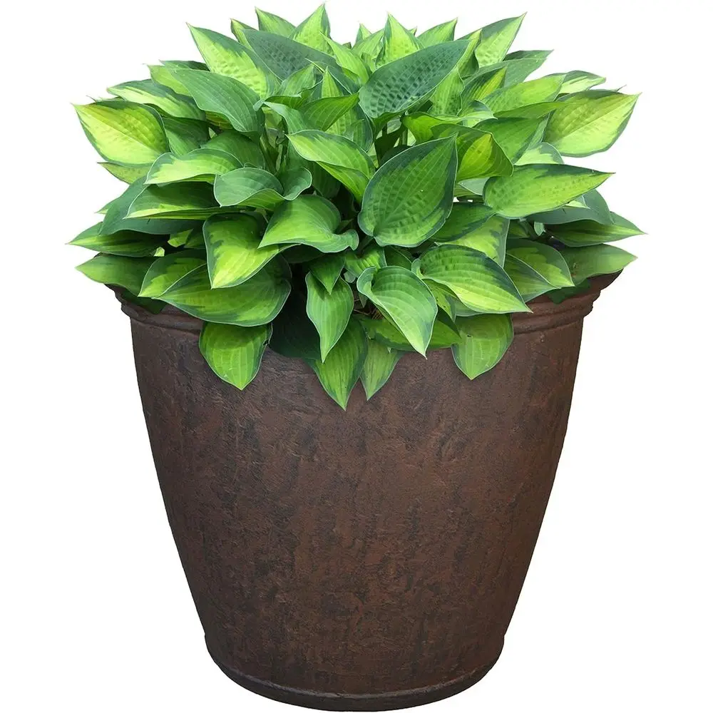 

Double-Walled Outdoor Large Plastic Planter with Drainage Holes, Rust-Resistant