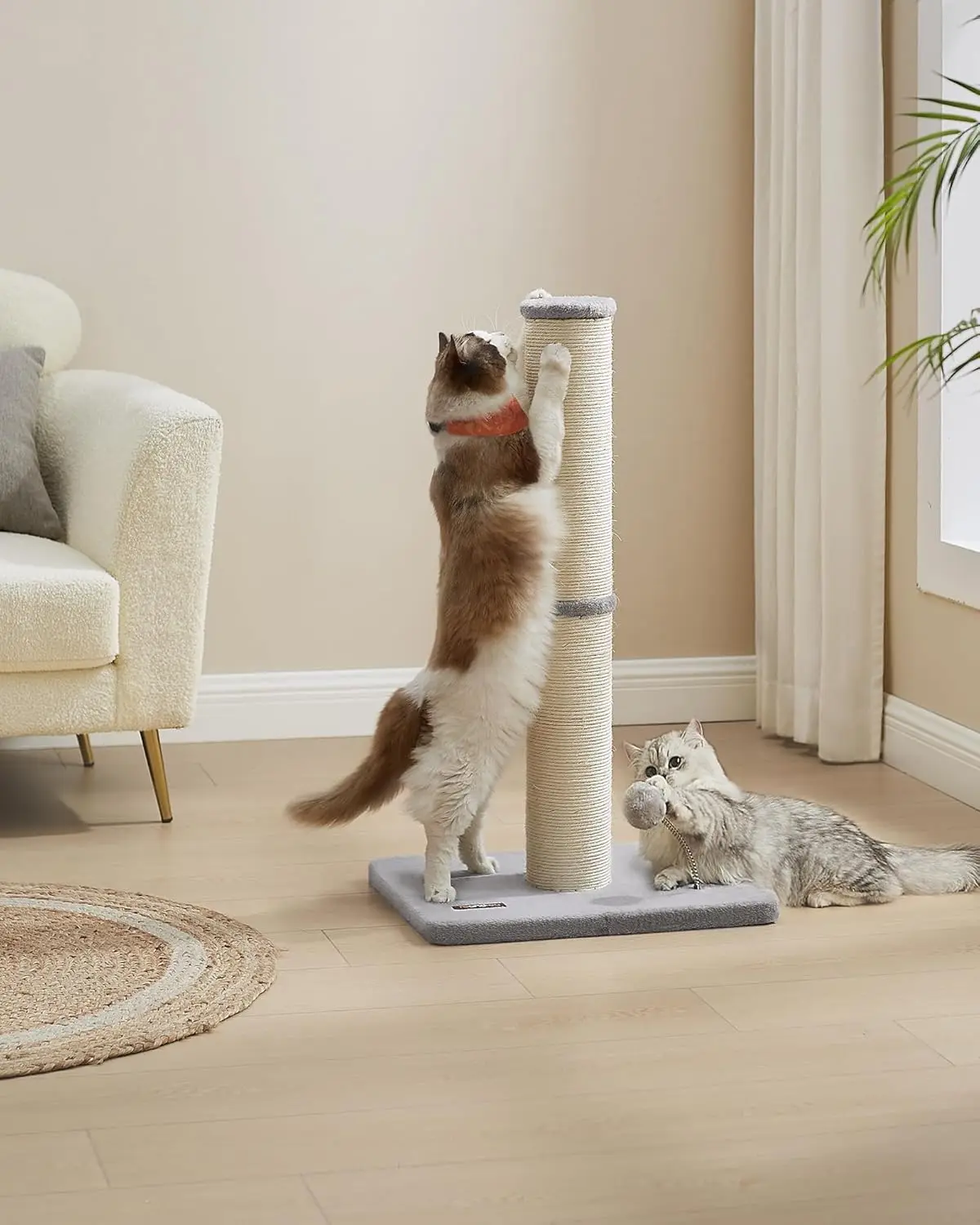 Feandrea Cat Scratching Post: 85cm Tall for Medium/Large Cats, Sisal Scratch Pole, Spring Pompom with Bell, Dove Grey.