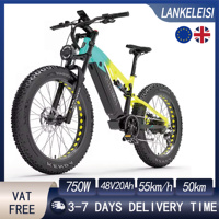 Lankeleisi RV800 PLUS Electric Bicycle 750W Motor 48V20AH Battery Hydraulic Brake Electric Bike 26*4inch Fat Tire Mountain EBike