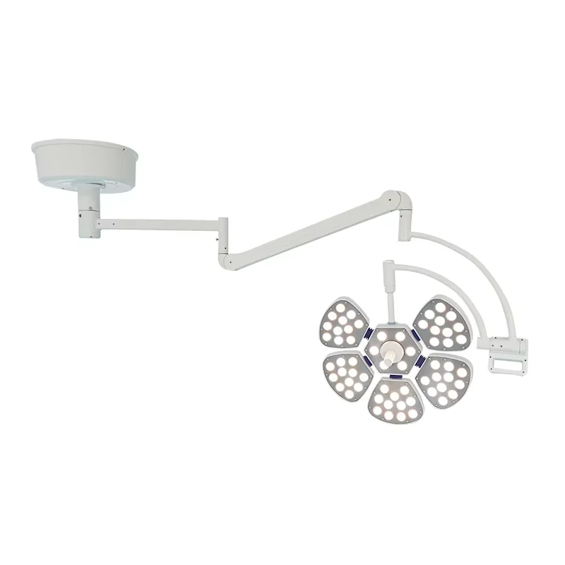 Medical Equipment Surgery Lamps Shadowless Wall Mounted Single Arms Operating Light Lamp OT Lights