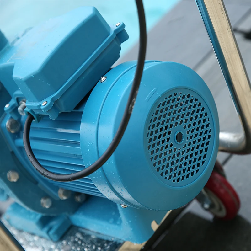 Aspirapolvere subacqueo per macchina per acque reflue con aspirazione manuale per piscina di alta qualità 220V Pulizia del fondo ad alta efficienza