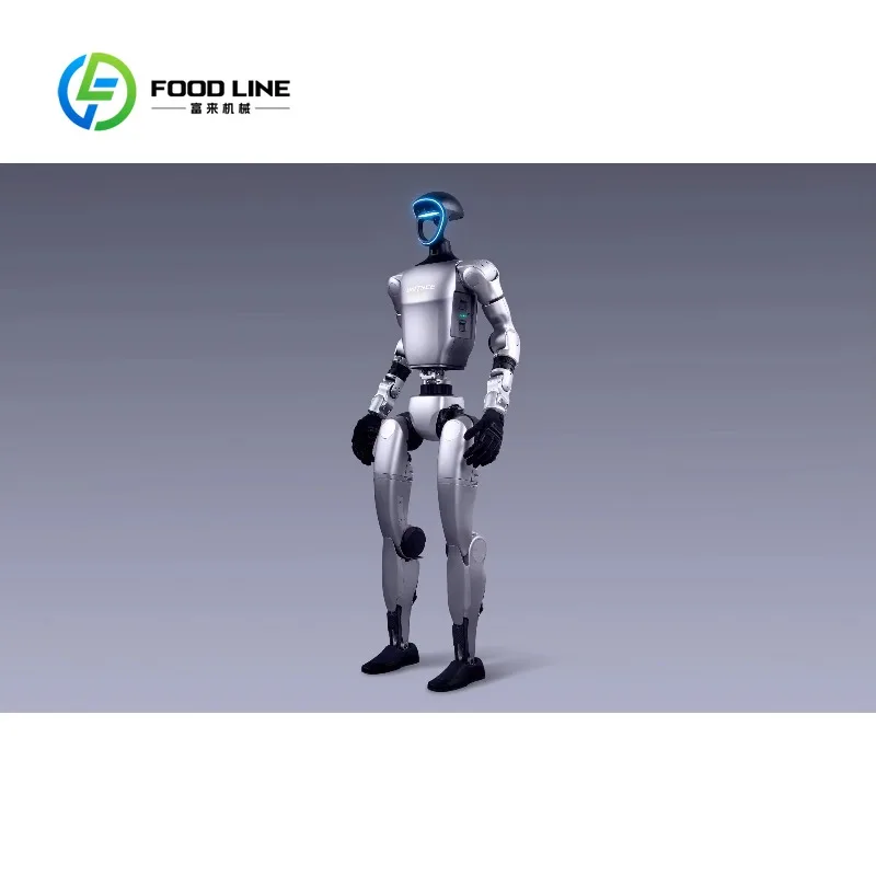 Customized Bipedal Humanoid Robot with Advanced Motion Control for Boxing and Interactive Entertainment Applications