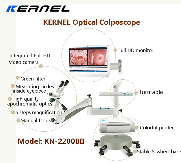 Optical Cervical Diagnosis Professional Optical Colposcopy Equipment For Hospital Gynecology Examination