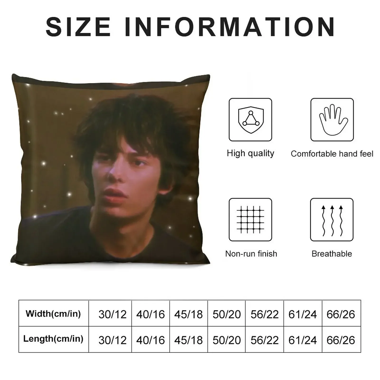 Rodrick Throw Pillow Decorative pillow case Sofa Cushions pillow