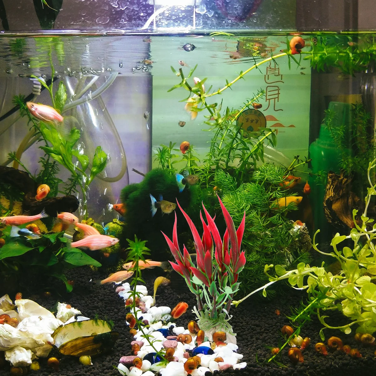 

1 Set Pcs Artificial Bamboo Grass Fake Plant For Fish Tank Aquarium Plastic Plant Ornament Plants Plastic Ornament Red Vivid