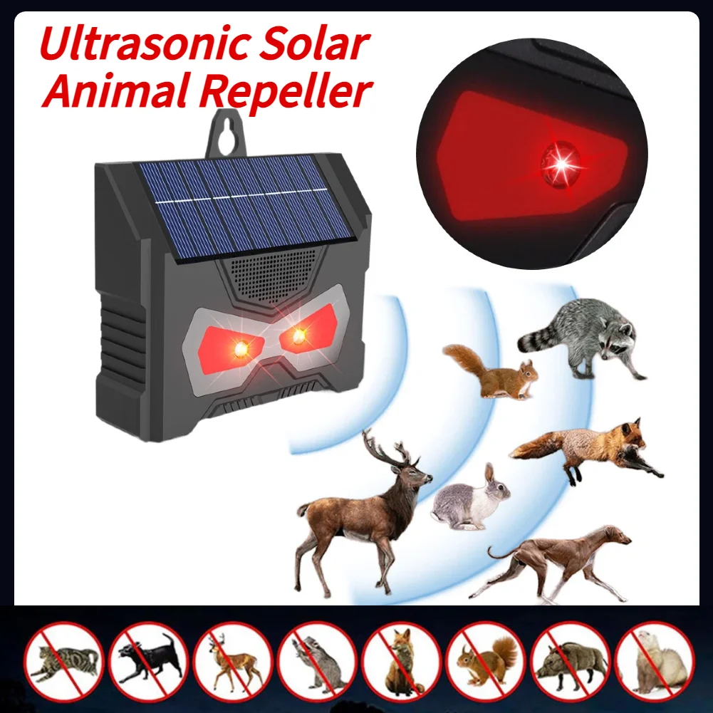 : Anti Ratte Schallwand