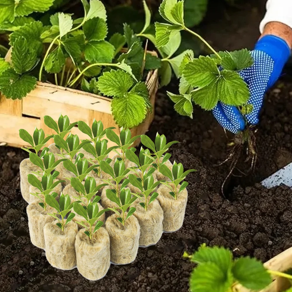10/200Pcs Garden Seedling Grow Plug Round Rock Wool Starter Plugs Planting Block Soilless Substrate Pots Hydroponics Cuttings
