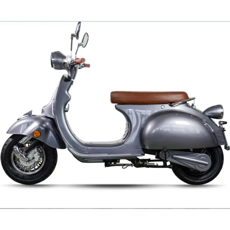 

BR 2000W Electric Bicycle With Removable Lithium Battery Optional