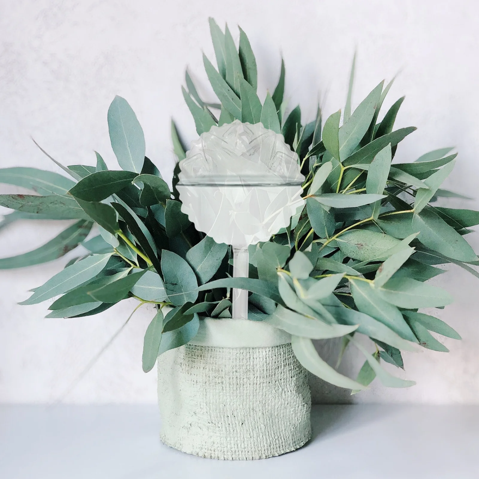 

Automatic Watering Device Glass Self Watering Bulb For Plants Irrigation Tool Drip Sprinkler Garden Supplies Flower Pot Decor