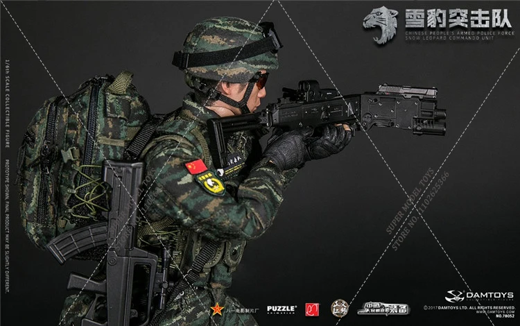 Original DAMTOYS DAM78052 1/6 Chinese Armed Police Force Snow Leopard Assault Team 12'' Male Solider Full Set Action Figure