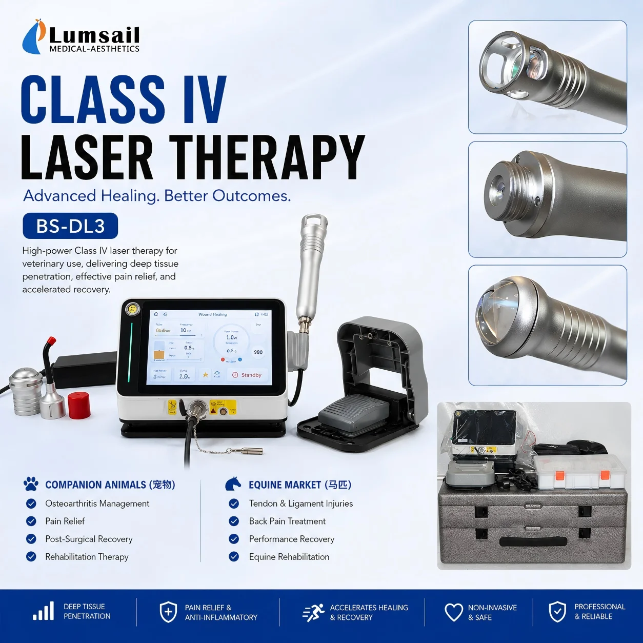 New Generation Class 4 Laser Therapy Product for Veterinary_veterinary Therapy Laser