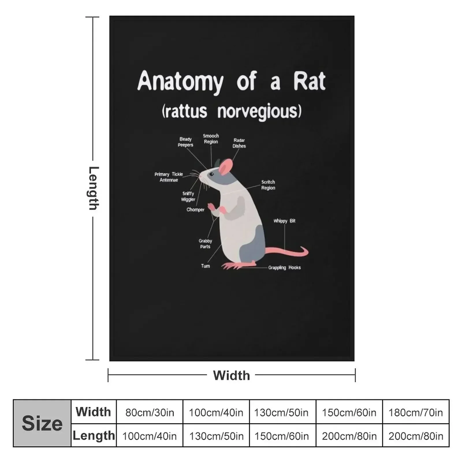 Anatomy of Pet Rat print - Funny Rat Rodent Pet product Throw Blanket For Baby Warm Plush Blankets