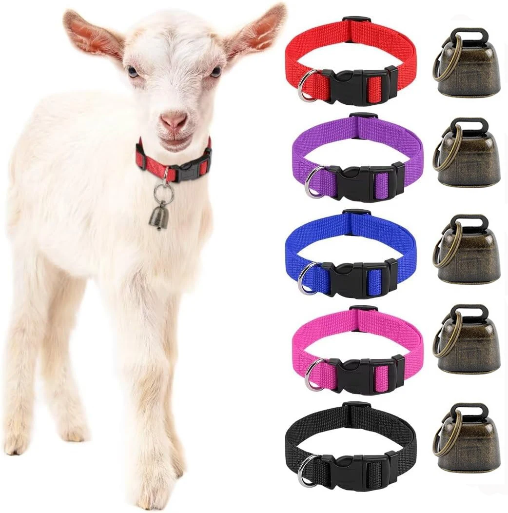5 Pack Goat Collars…