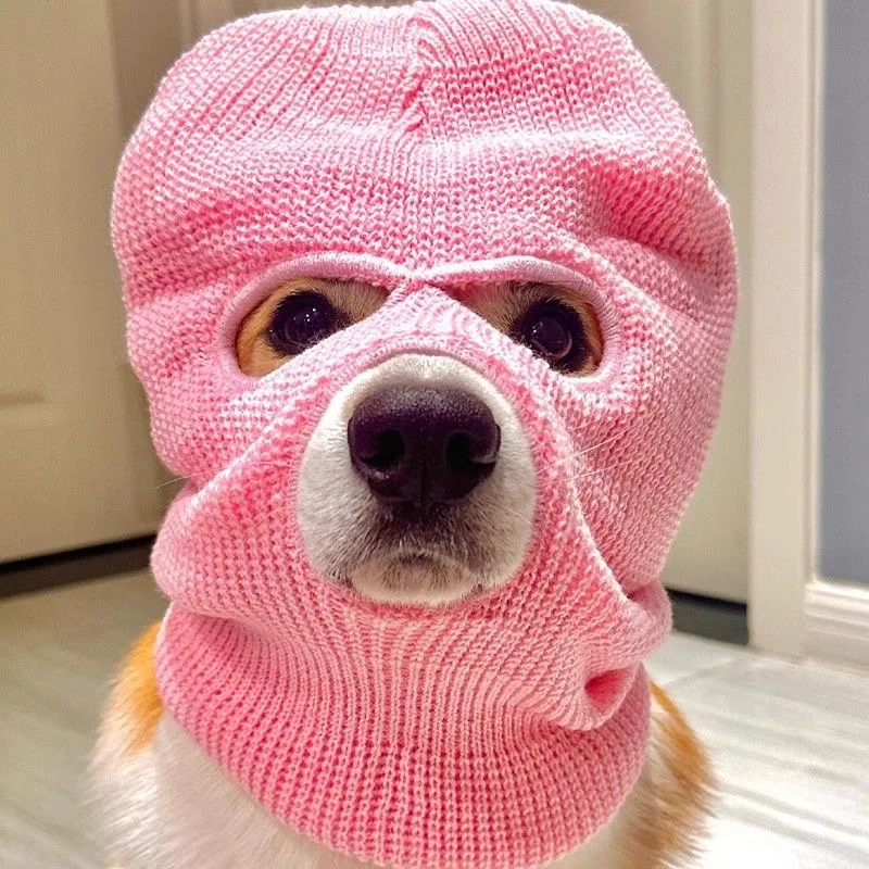 

Funny Pet Balaclava Mask Knitted Dog Hat Winter Warm Costume Outfit Cute Puppy Cat Photo Prop Party Cosplay Accessories