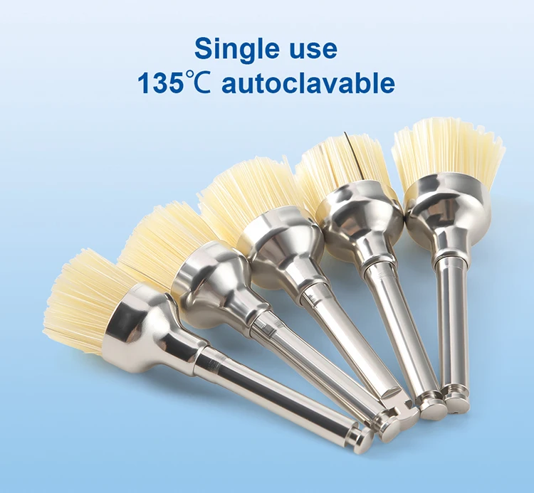 10PCS AZDENT Dental Polieren Pinsel Aluminium Oxid Siliziumkarbid Polieren Prophy Pinsel Werkzeug für Contra Winkel Handstück – Detail 30
