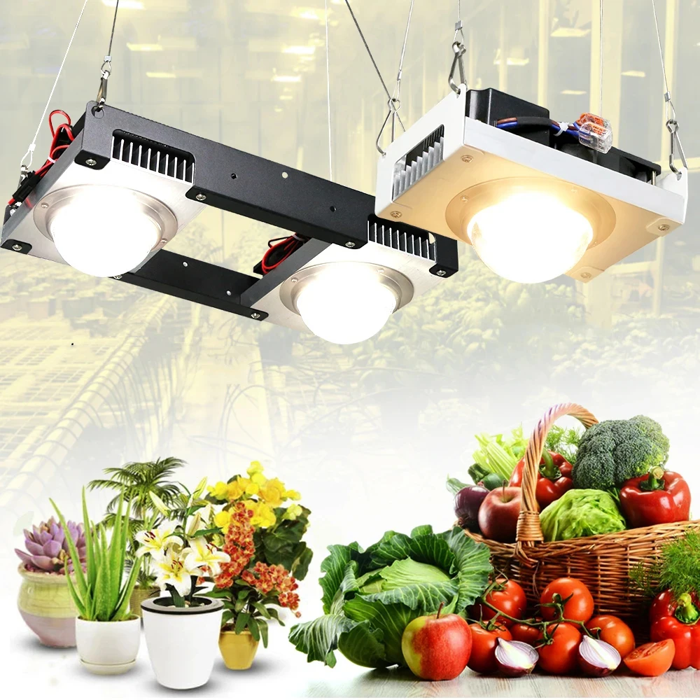 Imagem -05 - Cob Led Lâmpada de Crescimento Espectro Completo 100w 200w com Ventilador Como Luz Solar Lâmpada de Planta para Estufa de Tomate Luz de Pote Hidropônico Cxb3590