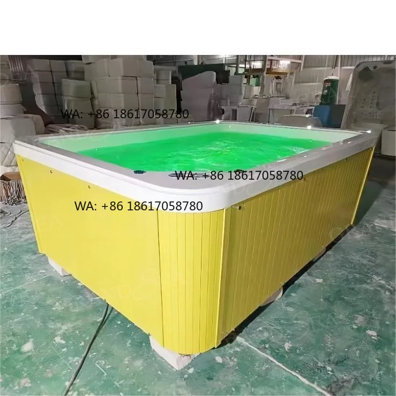 Baby Acrylic Massage Bathtub LED Light Adjustable Temperature Freestanding Baby Spa Bathtub