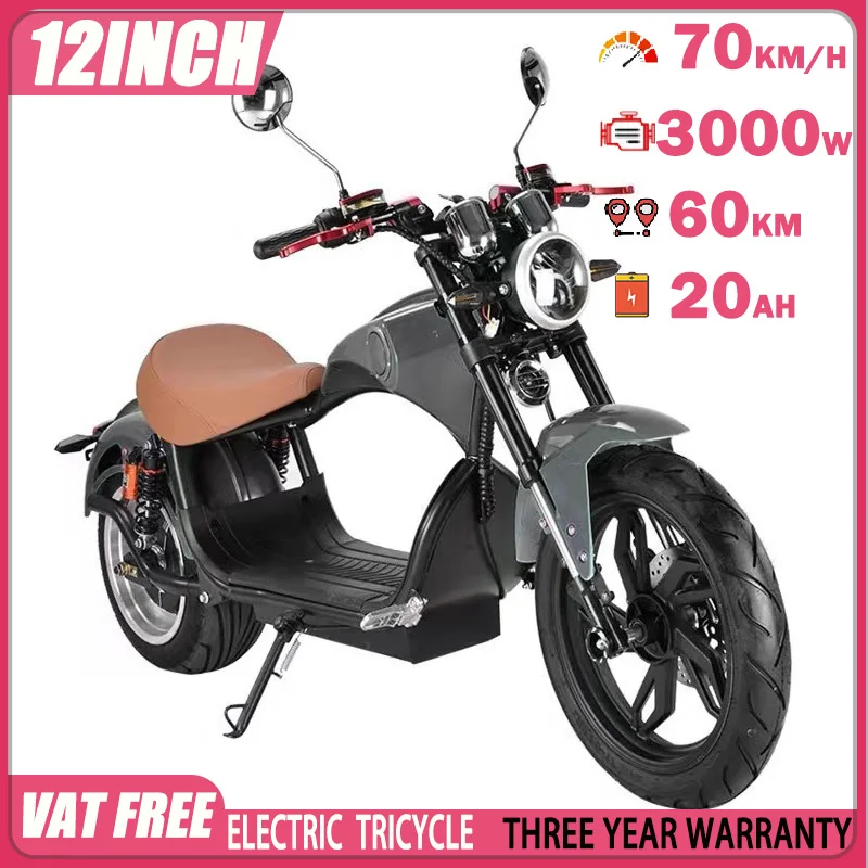 Electric Tricycle City ​​Commuting Retro Ebike Leisure Max Load 300KG 3000W60V20AH Mountain Off-road Snow Adult Electric Scooter
