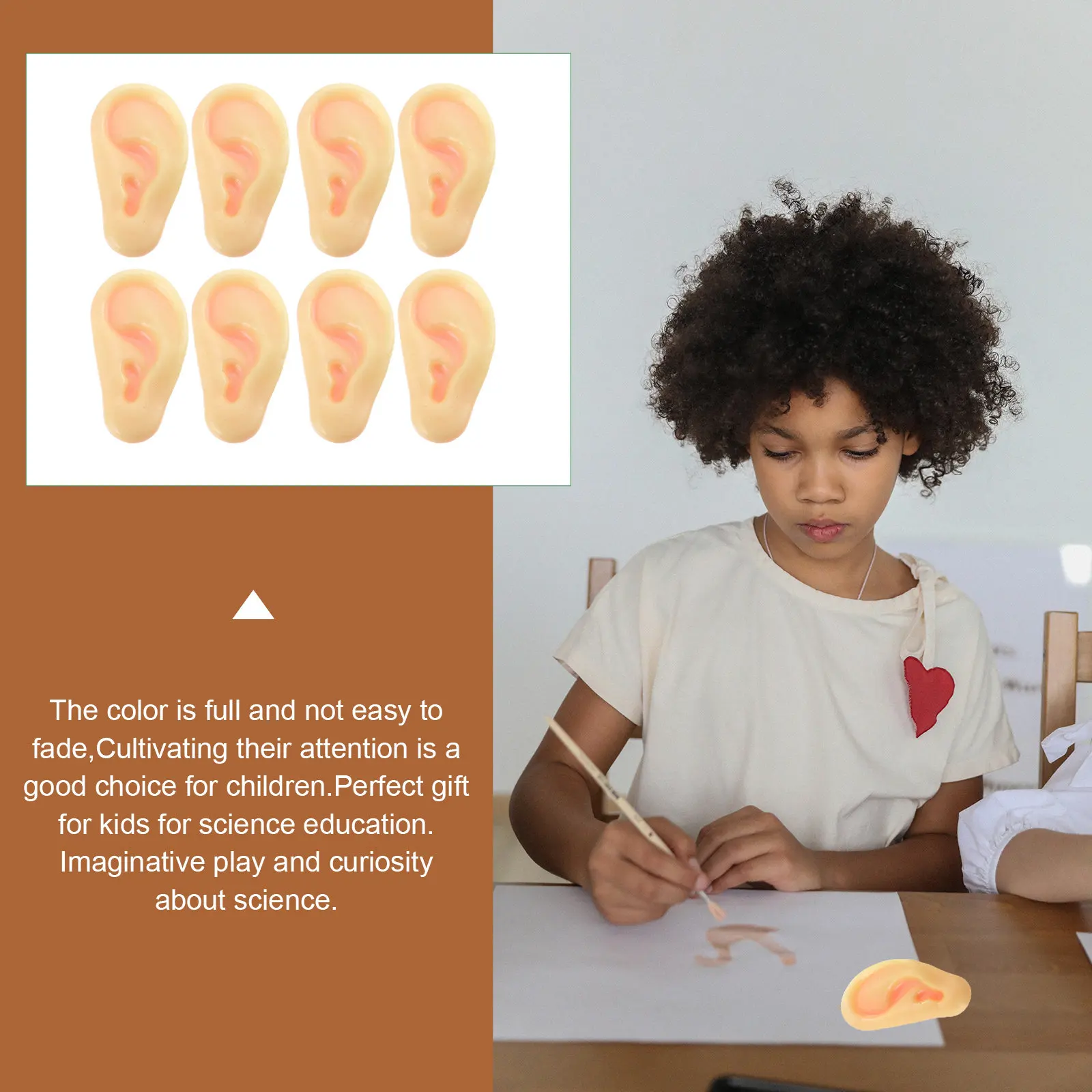 

8Pcs Emulated Ears Safe Durable Lifelike False Ears Kids Playthings Educational Science Decorations Ear Shaped Ranking Toys