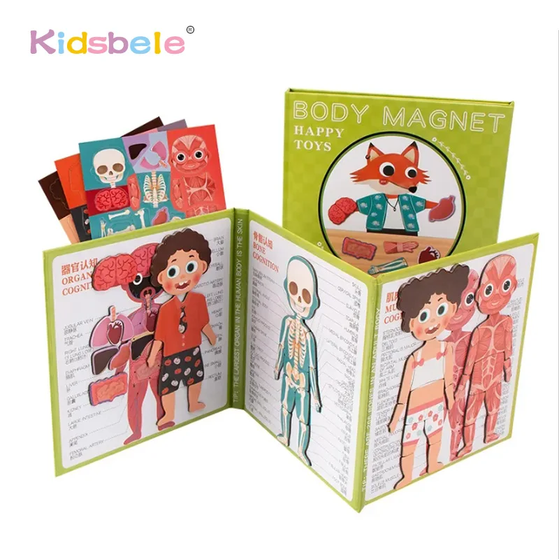 

Folding Human Body Structure Theme Magnetic Puzzle Book Cartoon Human Body Structure Puzzle Children's Preschool Learning Toys