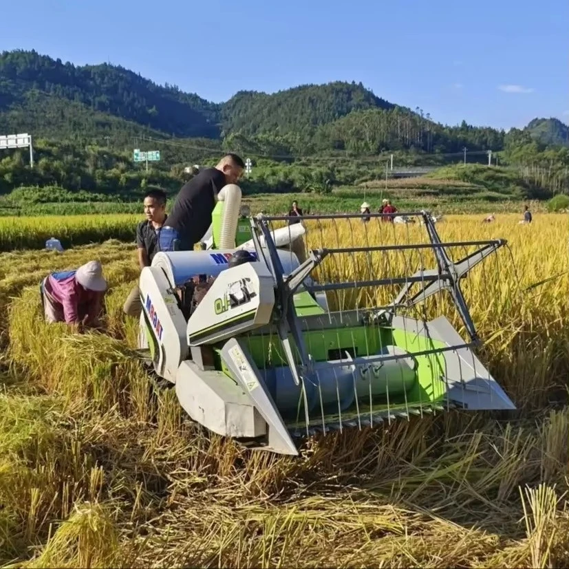 

Automatic Rice Harvesting Machine Mini Wheat Paddy Reaper Harvesters Rice Cutter Harvester Machine for Rice and Wheat