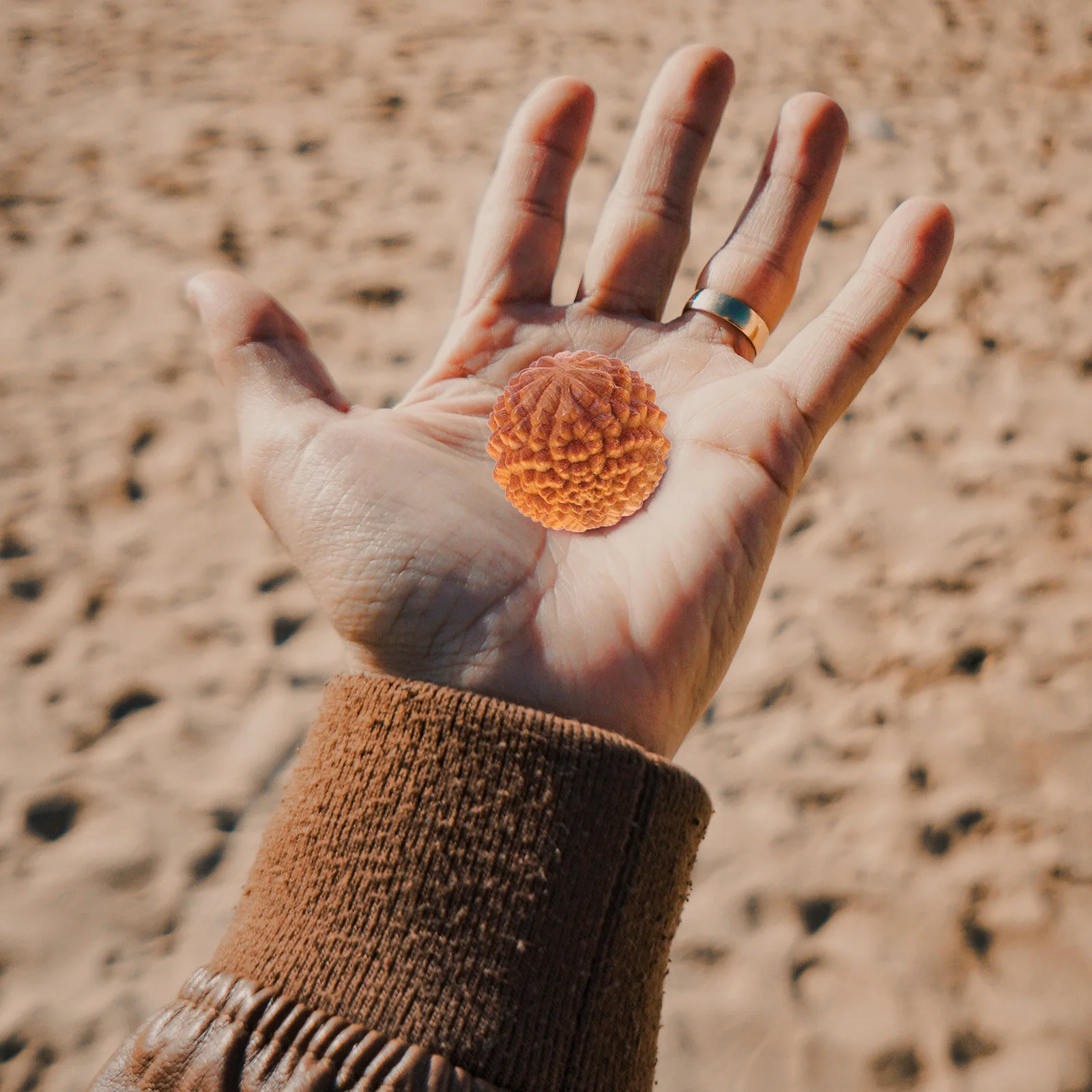 

2Pcs Durian-Shaped Wood Hand Massage Balls Smooth Wooden Handballs Muscle Stretch Massage Tool Durian-Shaped Handballs