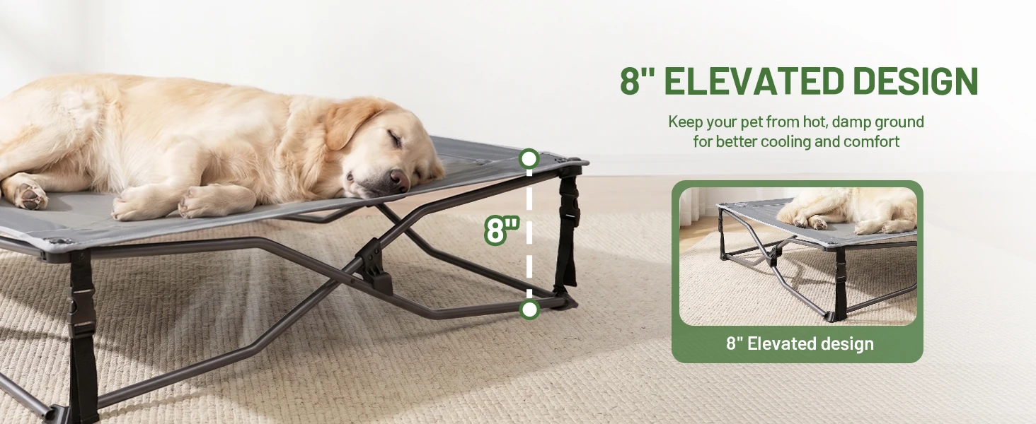 dog bed