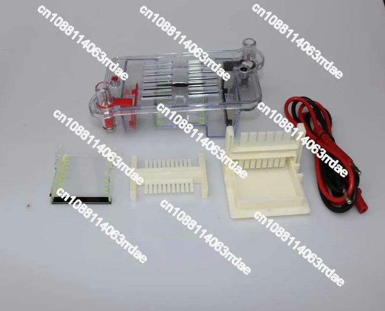 Electrophoresis Tank Biological Instrument Molecular Separation Teaching Instrument