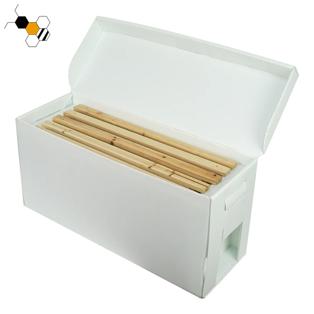 

5 Frame Cardboard Nuc Box, Mini Beehive for Queen Bee Mating & Rearing