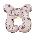 Rabbit model