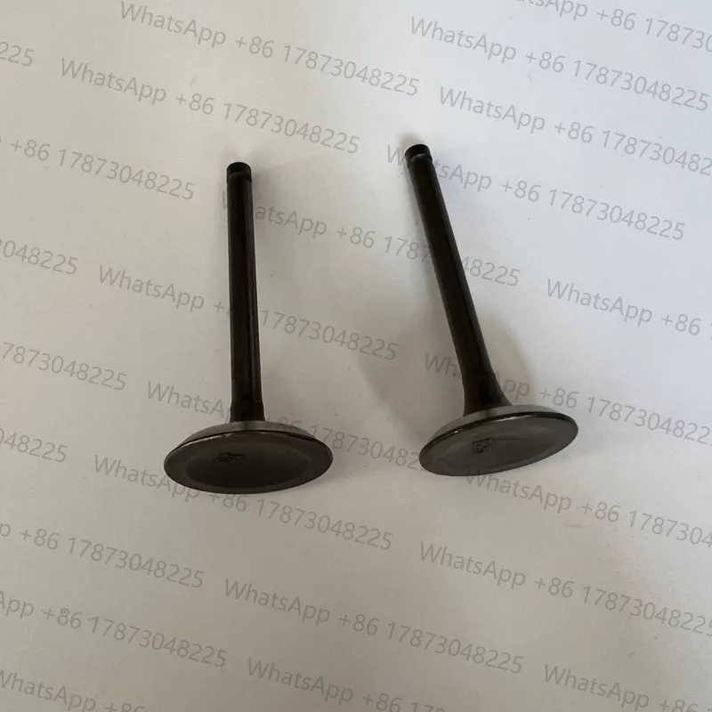 1 Pair Valve In & E… - image