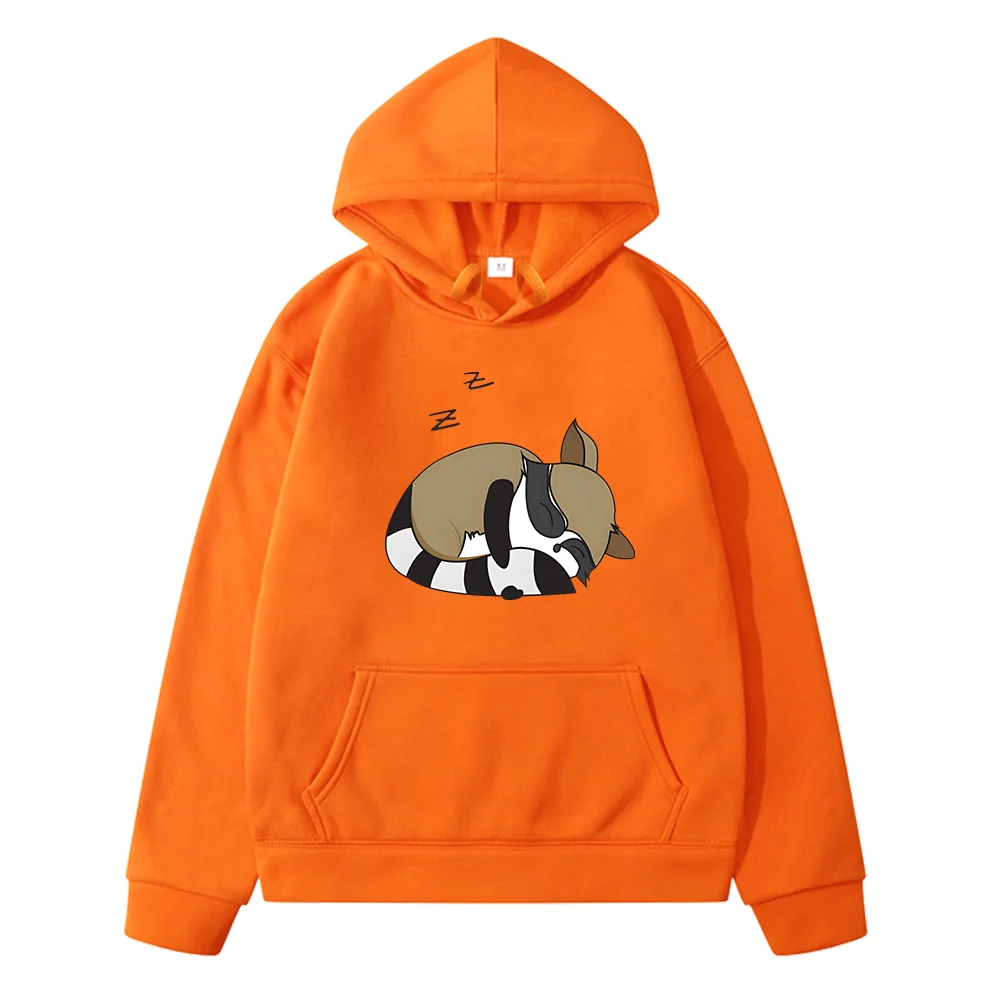 Little Raccoon Kids Clothes for Girls/Boys Cartoon Harajuku Long-sleeved Japanese Anime Sweatshirts Fleece Hoodies Regular Fit