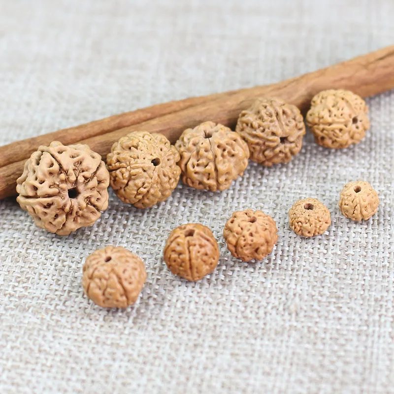20/50 Uds. Semillas naturales de Vajra Bodhi cuentas de budismo artesanía Malas pulseras de oración collar cuentas de semillas de Rudraksha joyería DIY