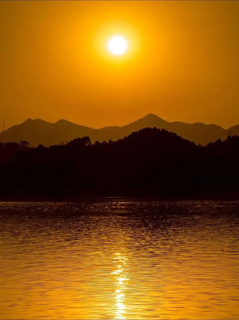 1 set roestvrijstalen anti-collision plaat guard chassis pantser voor LOSI 1/10 Baja Rey V2 RC auto accessoires