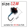 5(size12)