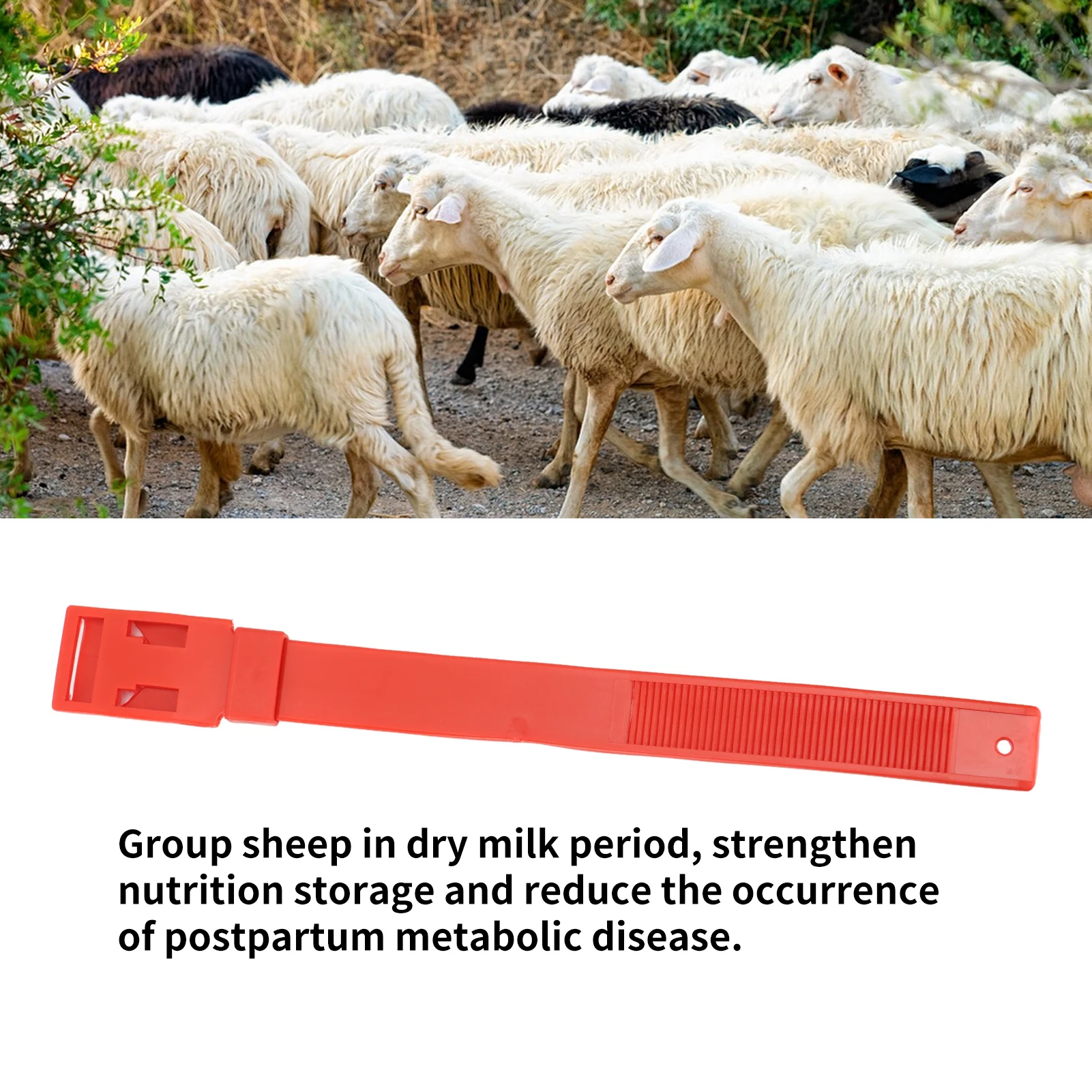 10Pcs Goat Leg Ring Sheep Identification Bands Livestock Marking Ring Farming Equipment 36cm