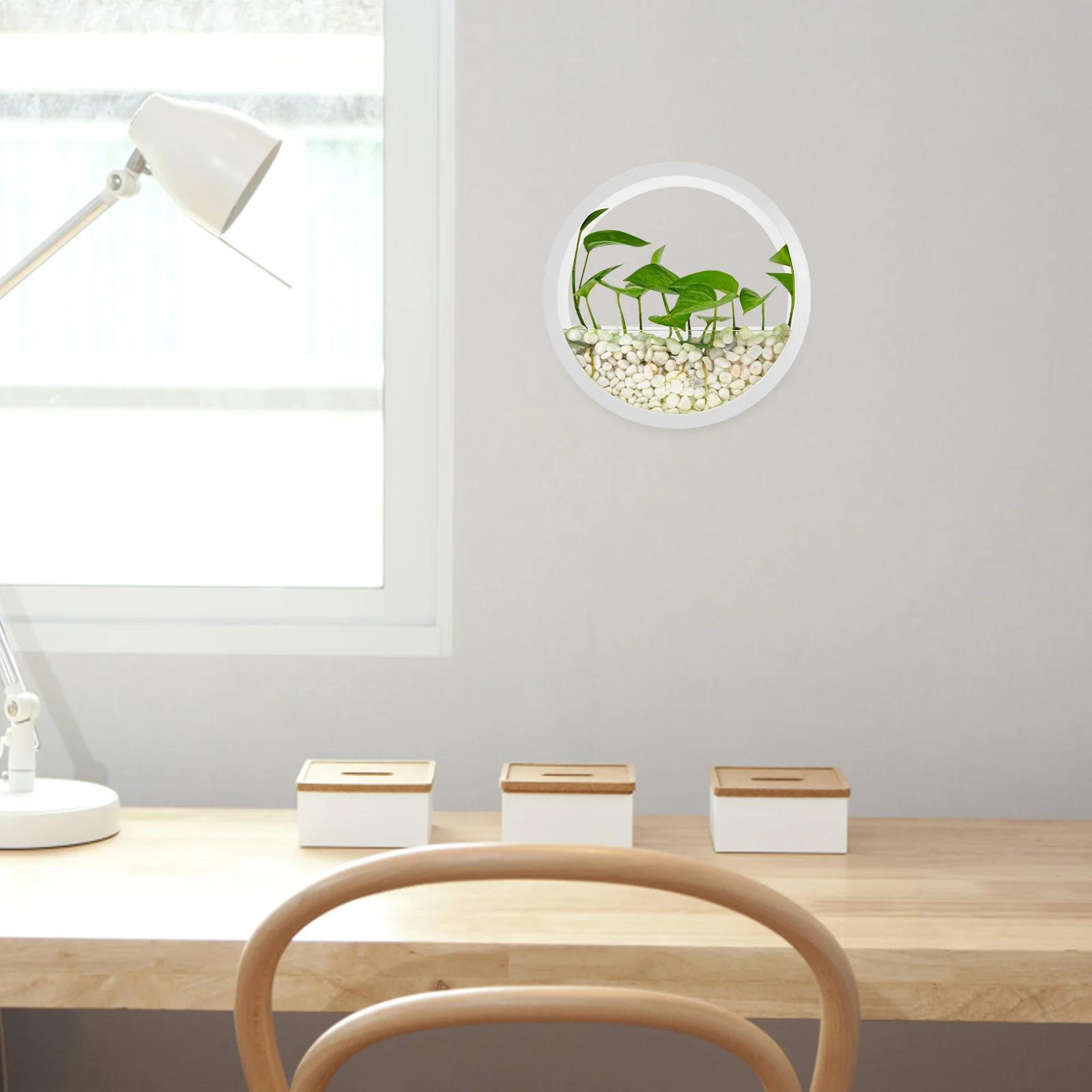 

Hanging Flower Vase Wall Mounted Hydroponic Pot Round Shaped Space Saving Indoor Plant Container Wall Mount Vase