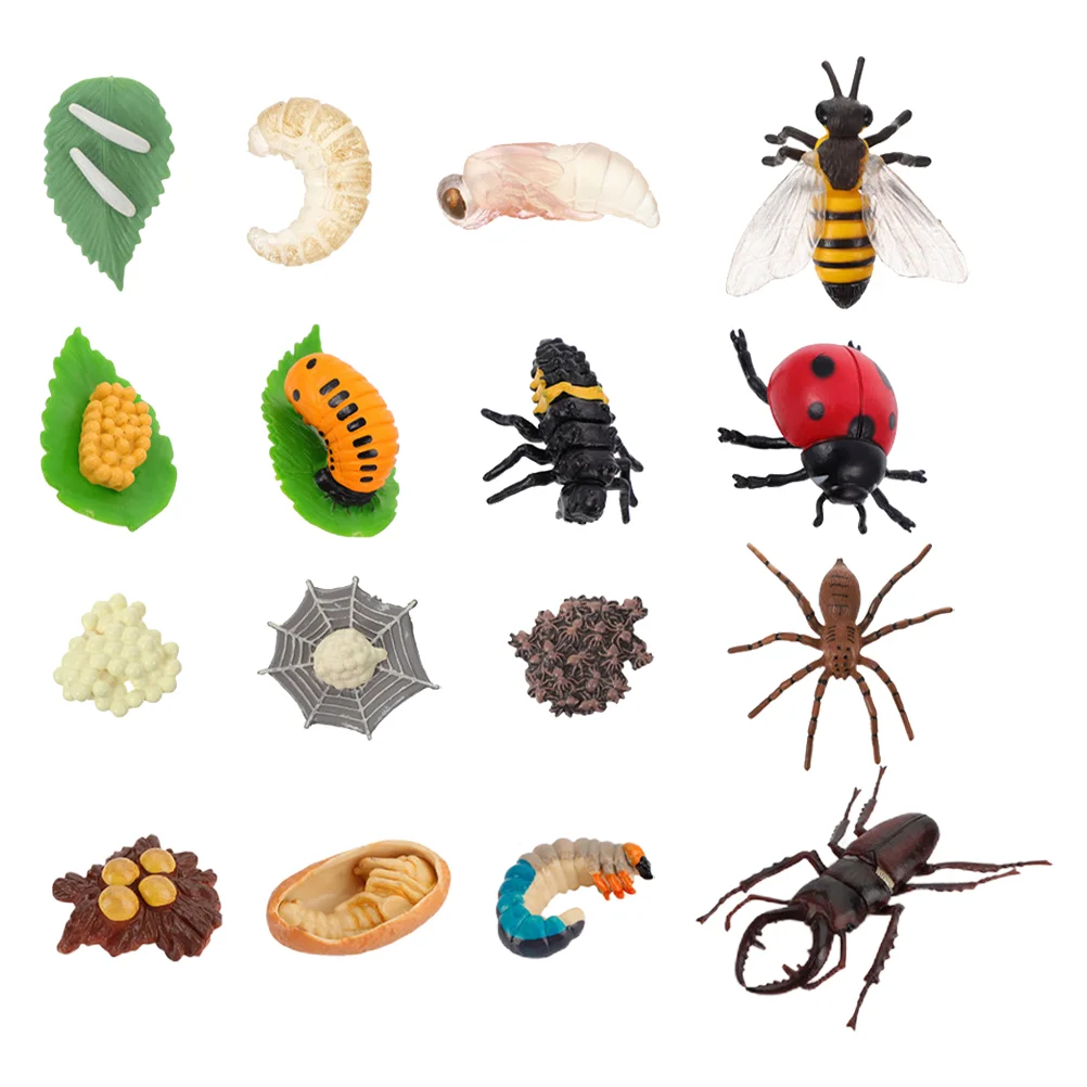 

4 Sets Spider Animal Growth Cycle Child Kids Toys Insect Model Plastic Life Figures Animals Display Models