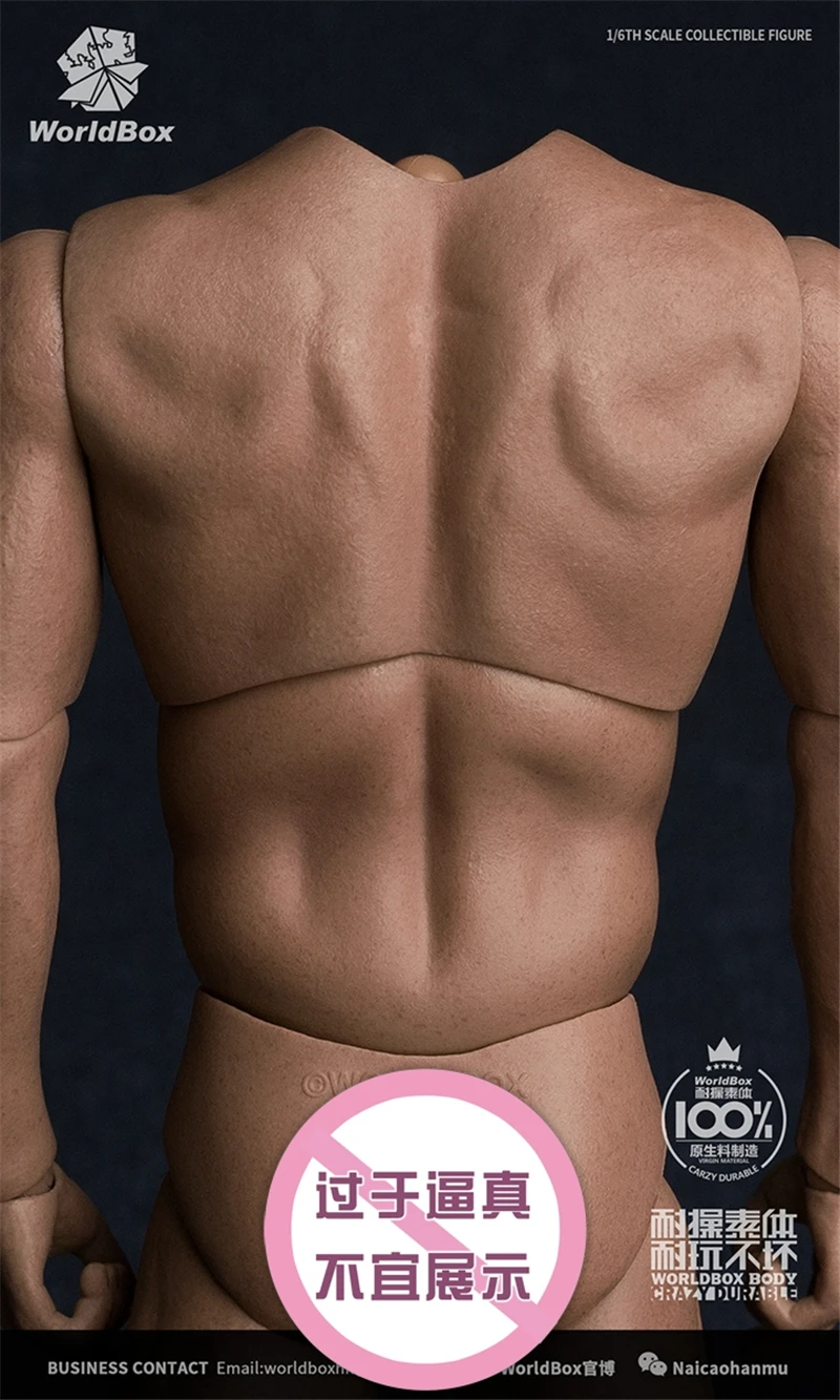 WorldBox 1/6 AT017 جسم عسكري عسكري بكتف عريض #4