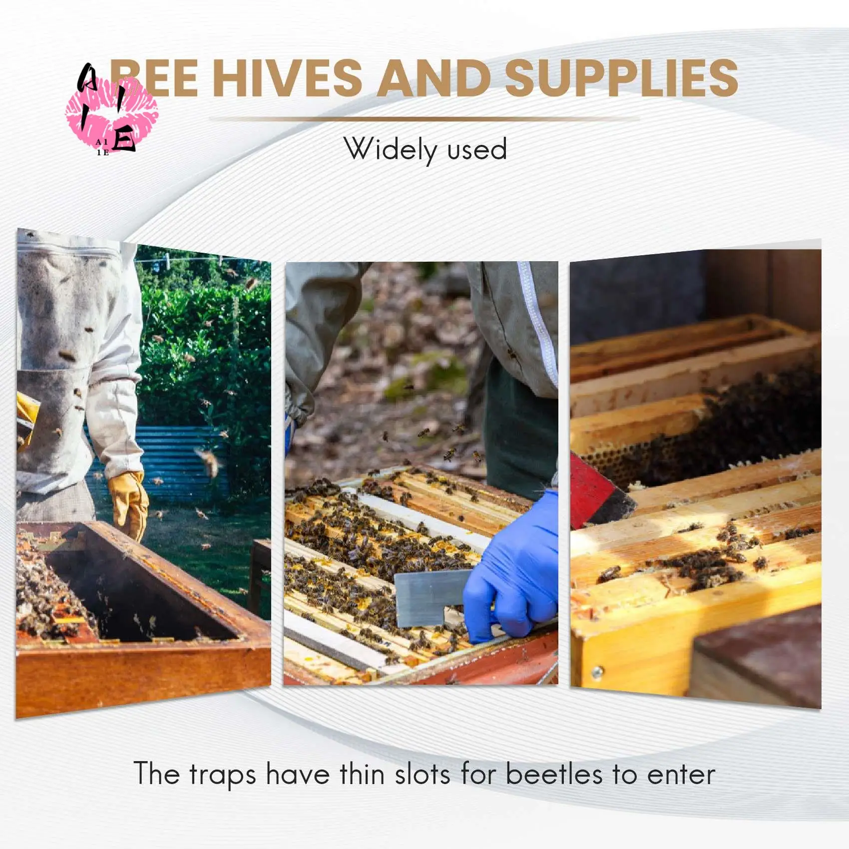 

Упаковка A11E-12 — ловушки для жуков для естественного ловли маленьких улей, жуков, пчел, хижи без использования любых химикатов или пестицидов