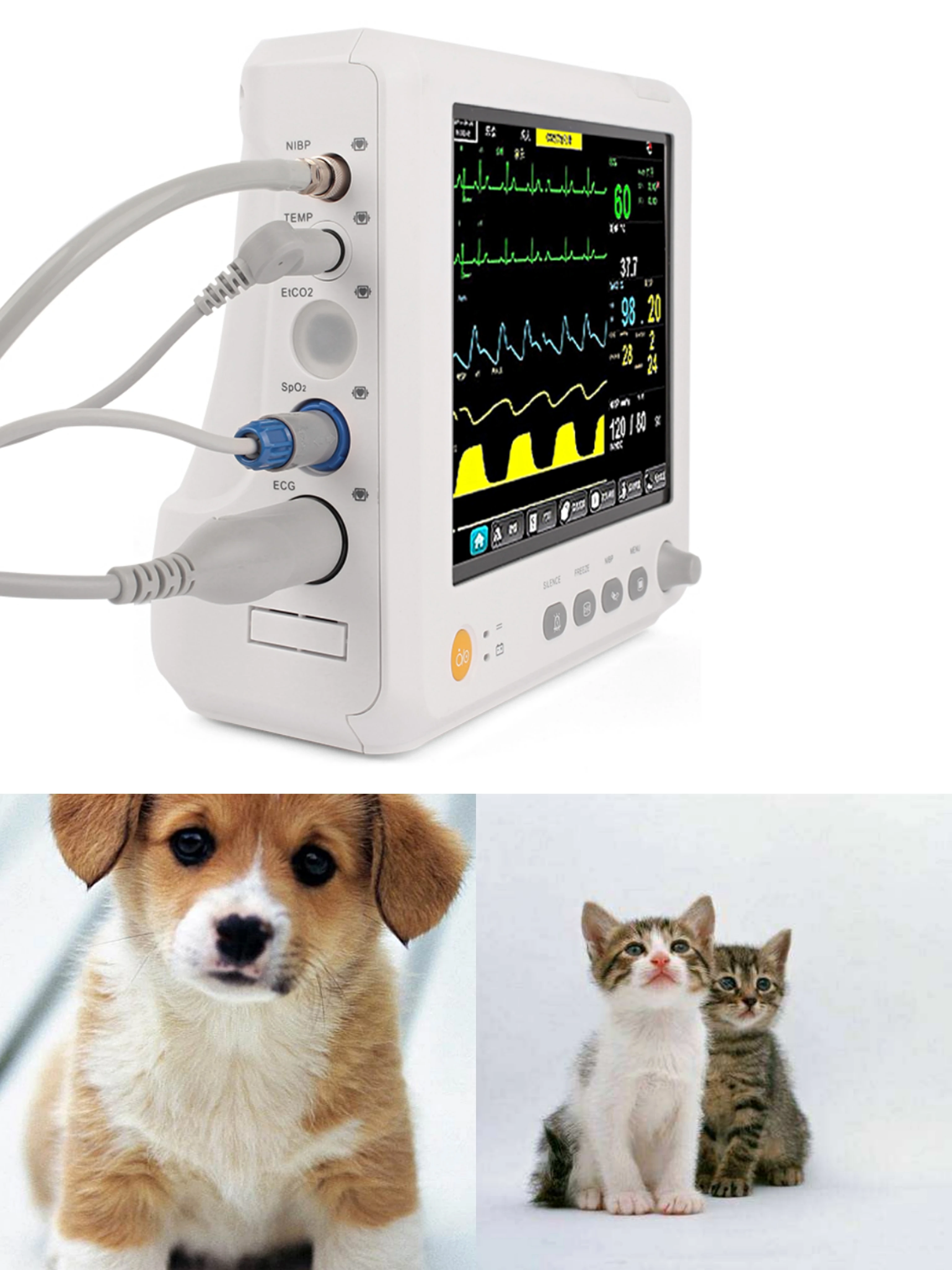 Patient Montor Veterinary  Monitor 8 inch screen portable capnograph ETCO2 IBP Montior capnograph Animal