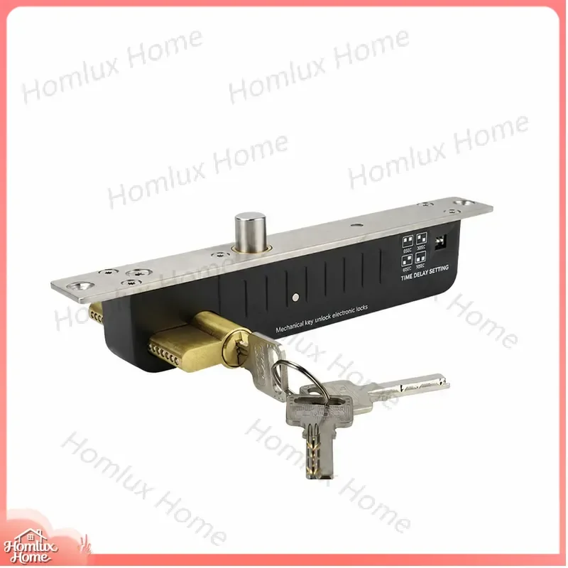 DC12V Bolt Type Door Lock with Adjustable Delay Time Access Control System for Home Office Security Door Lock