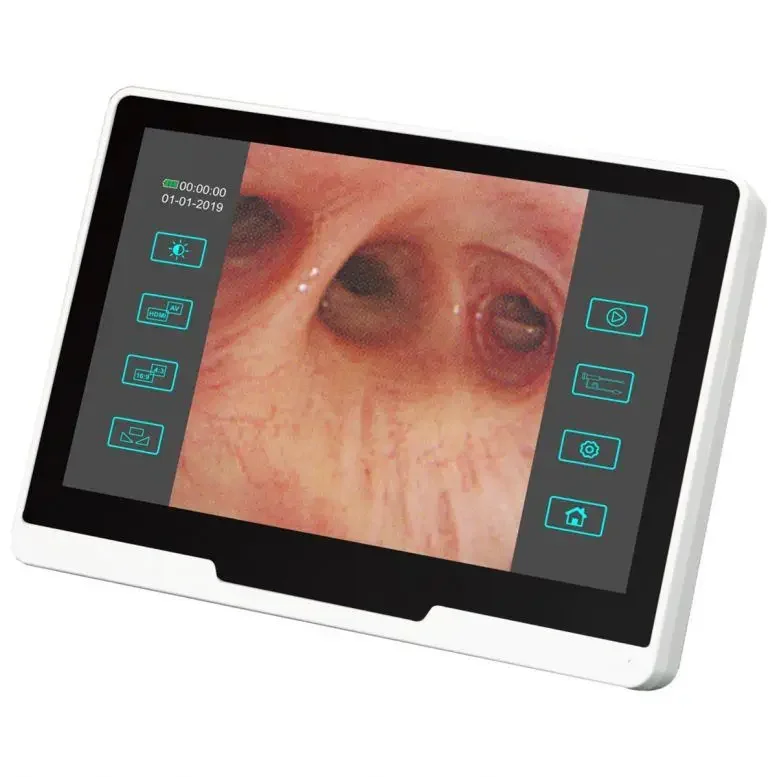 Portable Video Veterinary Flexible Endoscope/ Equine Upper And Lower Airway Vet Veterinary Endoscope MSLGA285