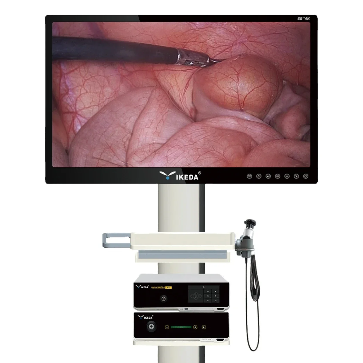 IKEDA 4K Telepack Endoscope  System with Telescopes