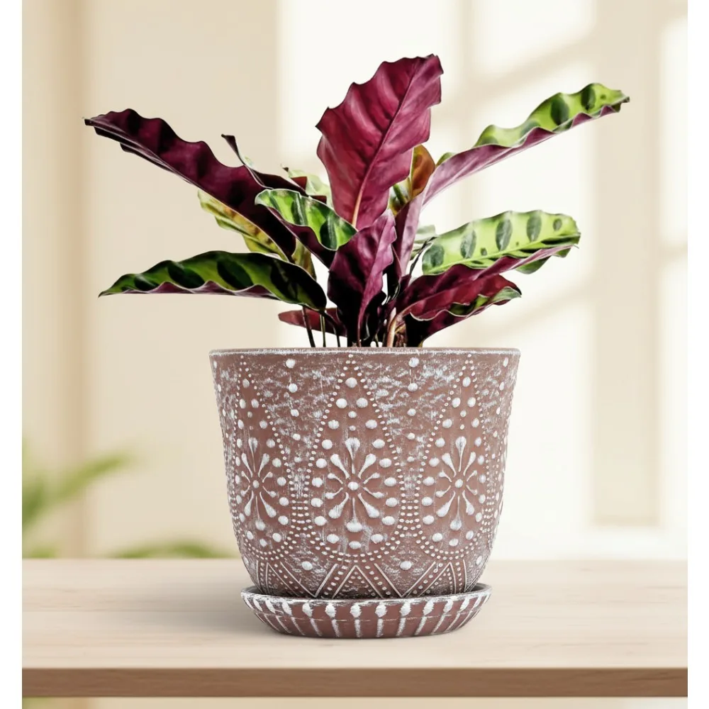 

8-дюймовый керамический горшок для растений с дренажными отверстиями и блюдцем, большой комнатный цветочный горшок для домашнего декора