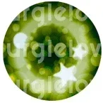 Gurglelove Kigurumi BJD Mask 44 Cosplay Eyes