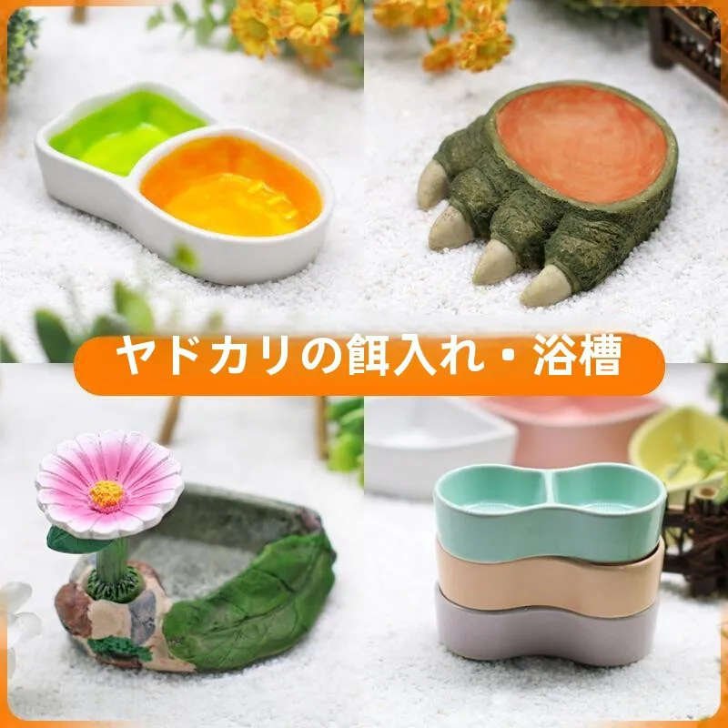tigela-de-Agua-para-caranguejos-e-tartarugas-em-resina-ceramica-com-duas-ou-tres-divisorias-comedouro-para-animais-de-estimacao-decoracao-para-aquario-equipamento-para-tanque-de-caranguejos