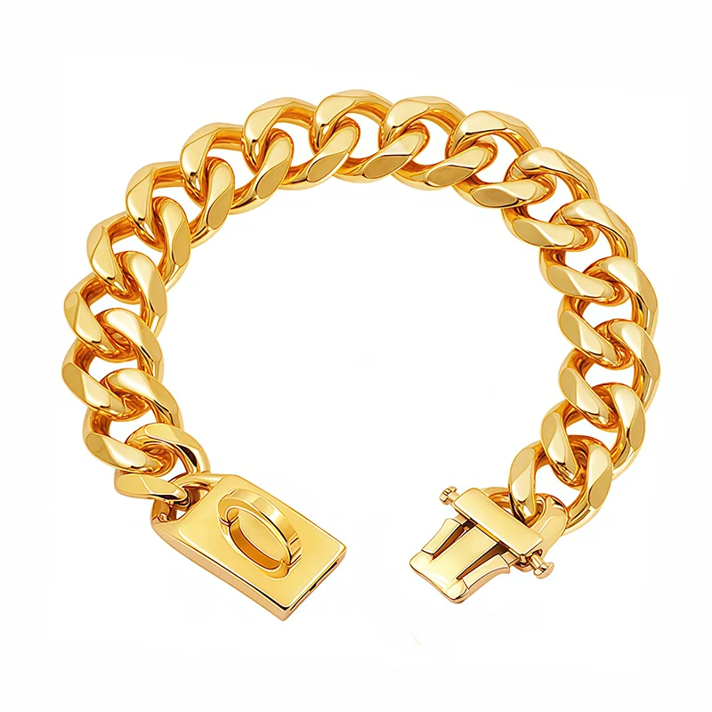 Goldenes Hundehalsband aus Edelstahl, Metallhalsband für Haustiere, silberfarben, 19 mm breit, Leine für mittelgroße und große Hunde, Französische Bulldogge, Labrador Retriever